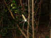 2003_1105_081239AA.JPG (334028 bytes)
