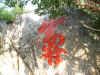 2003_1105_081544AA.JPG (343672 bytes)