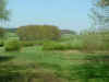2005_0421_130901AA.JPG (318647 bytes)